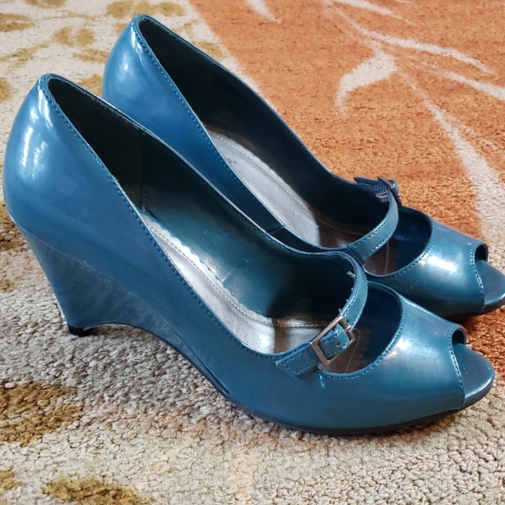 Dark Teal Wedges